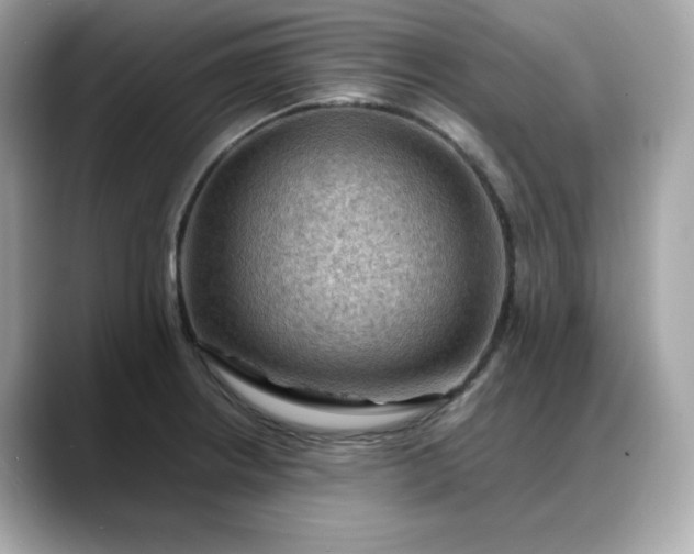 X0000088371234200706051035