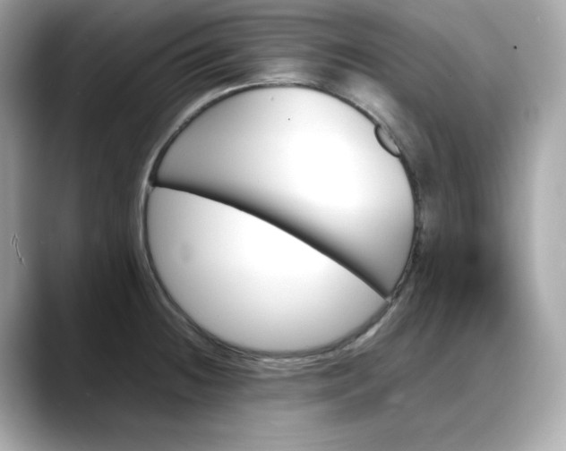 X0000088371236200706051035