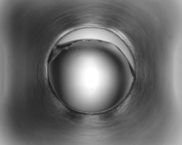 X0000088371238200706051035