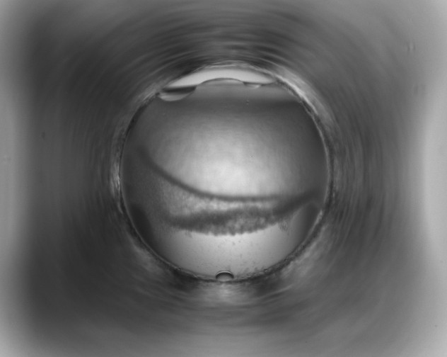 X0000088371241200706051035