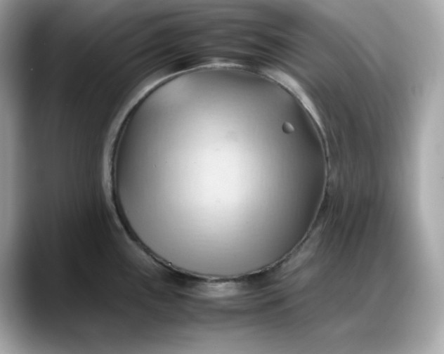 X0000088371243200706051036