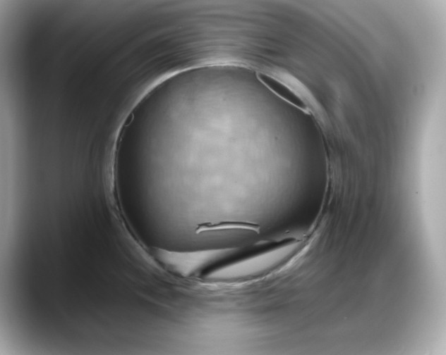 X0000088371244200706051036