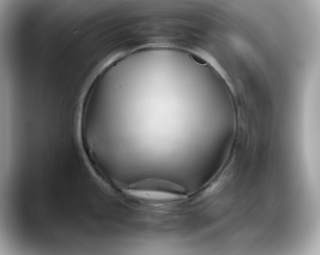 X0000088371245200706051036