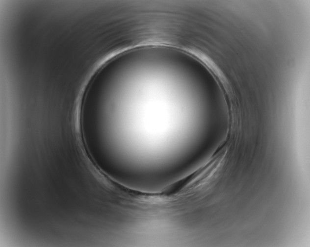 X0000088371246200706051036