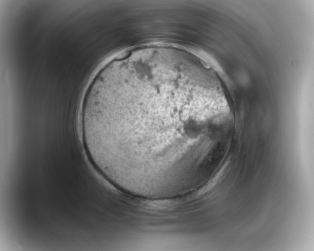 X0000088371247200706051036