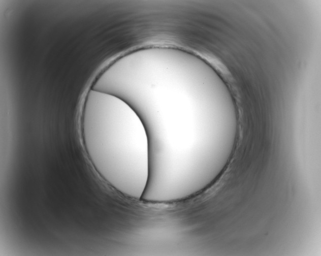 X0000088371248200706051036