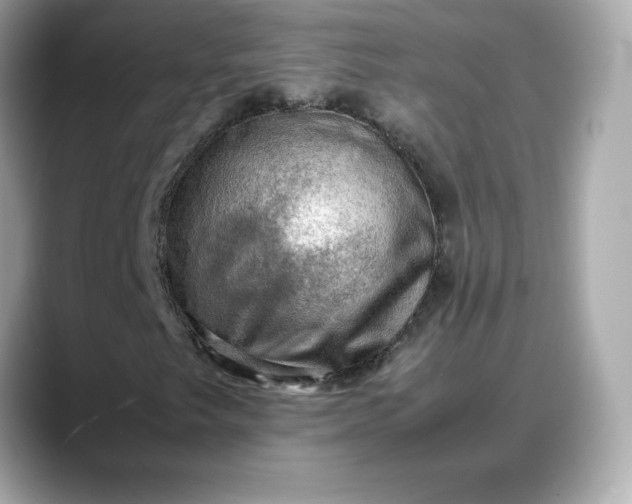 X0000088371249200706051035