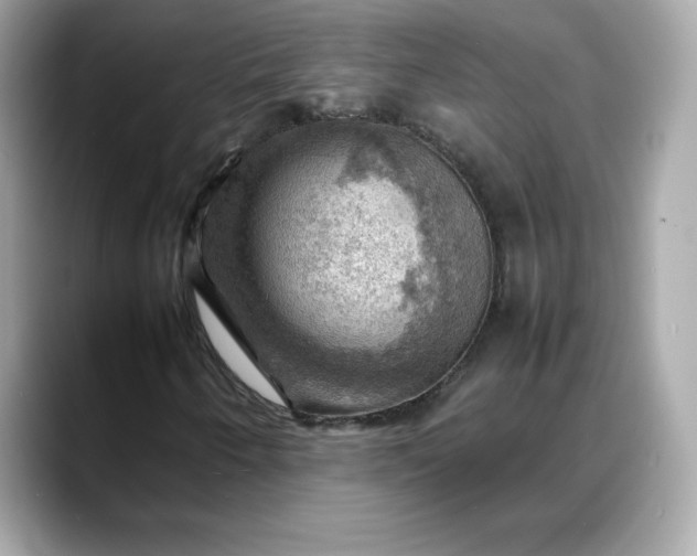 X0000088371250200706051035