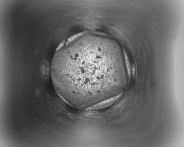 X0000088371251200706051035