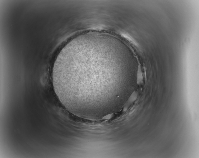 X0000088371256200706051035