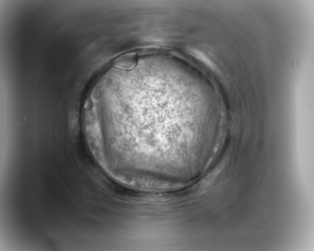 X0000088371259200706051035