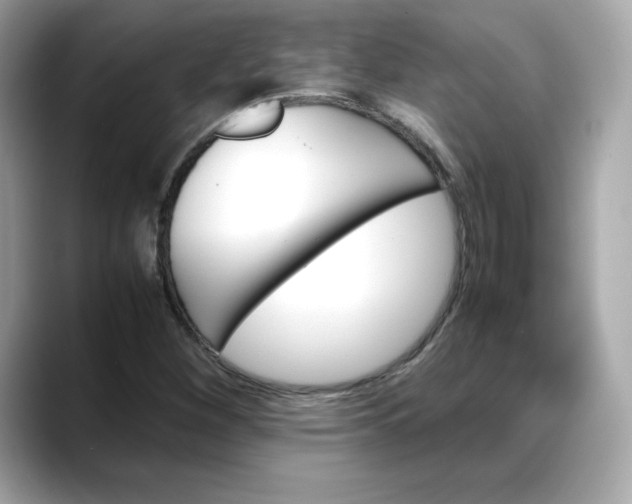 X0000088371260200706051035