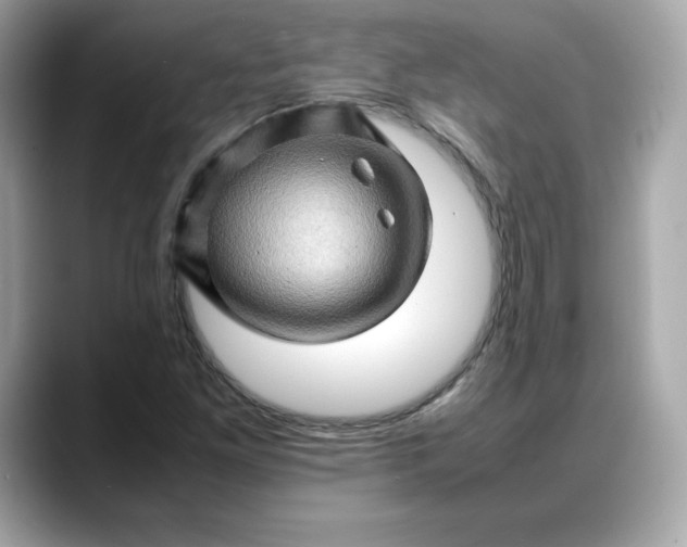 X0000088371261200706051035