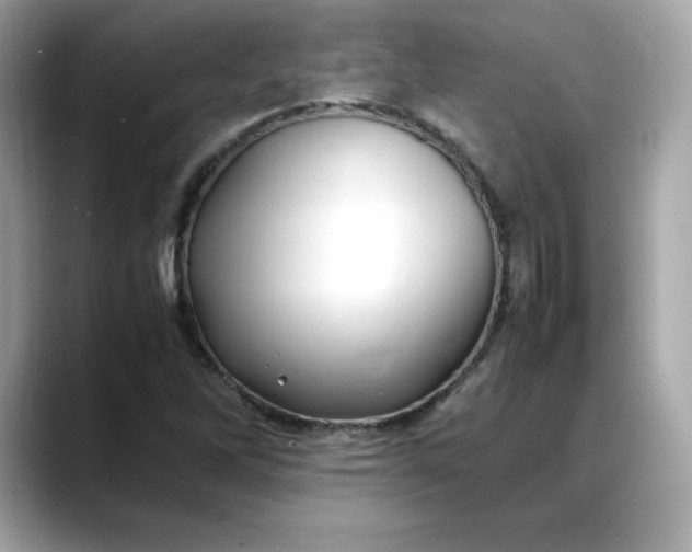 X0000088371262200706051035