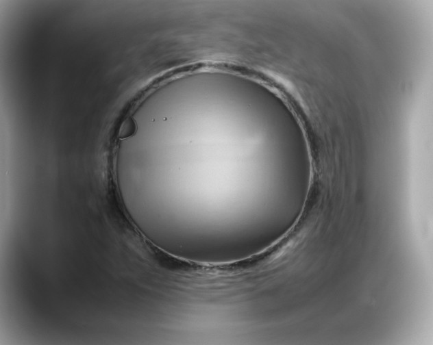 X0000088371263200706051035