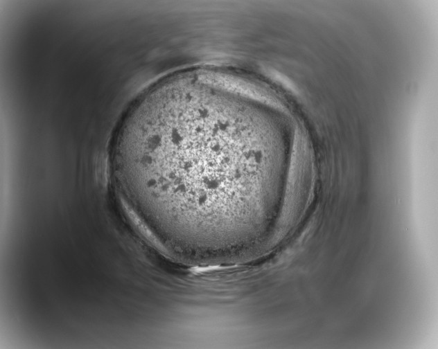 X0000088371267200706051035