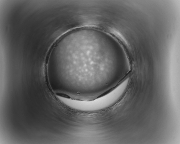 X0000088371268200706051035