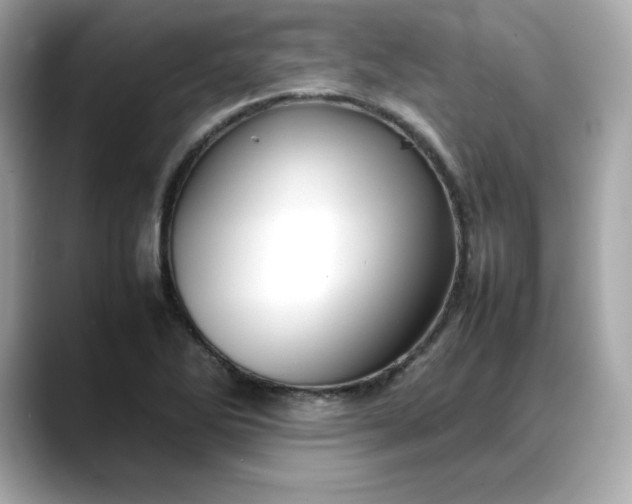 X0000088371270200706051035
