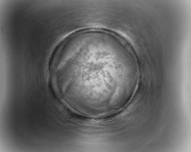 X0000088371271200706051035