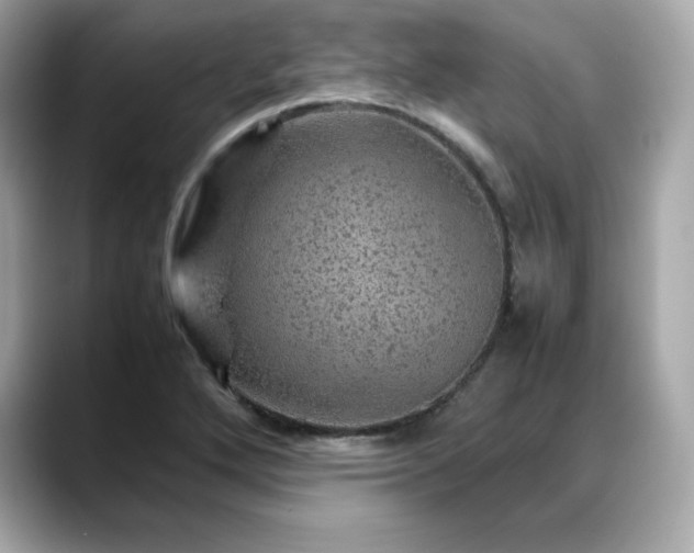 X0000088371272200706051035
