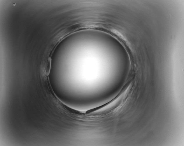 X0000088371273200706051035