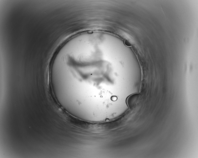 X0000088371275200706051035