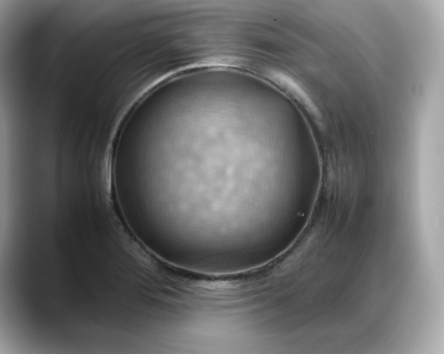 X0000088371276200706051035