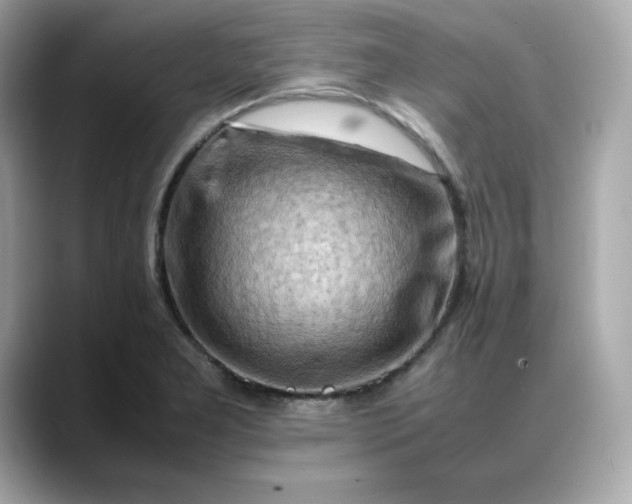 X0000088371277200706051035