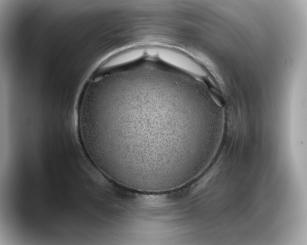 X0000088371280200706051035