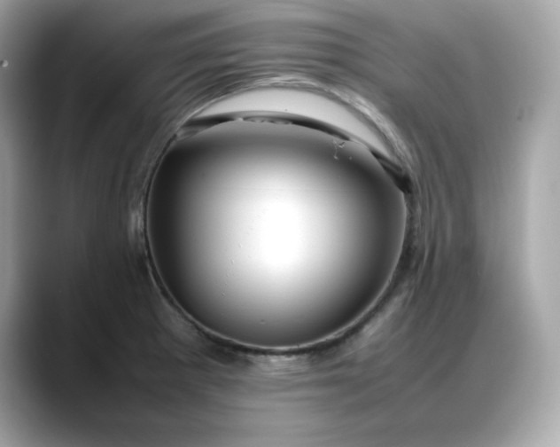 X0000088371281200706051035