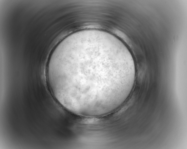 X0000088371282200706051035