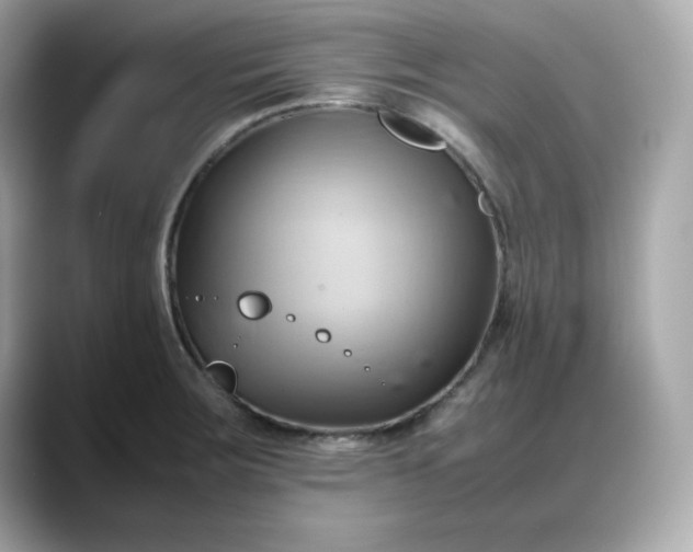 X0000088371283200706051035