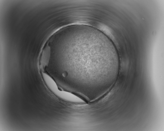 X0000088371284200706051035