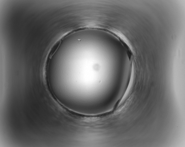 X0000088371285200706051035