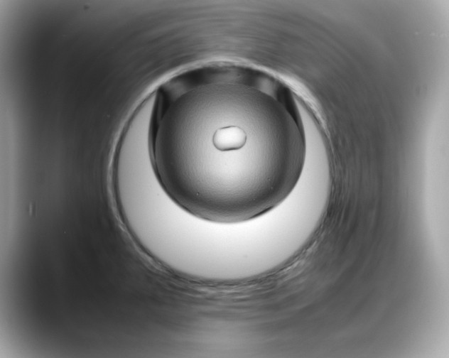 X0000088371287200706051035