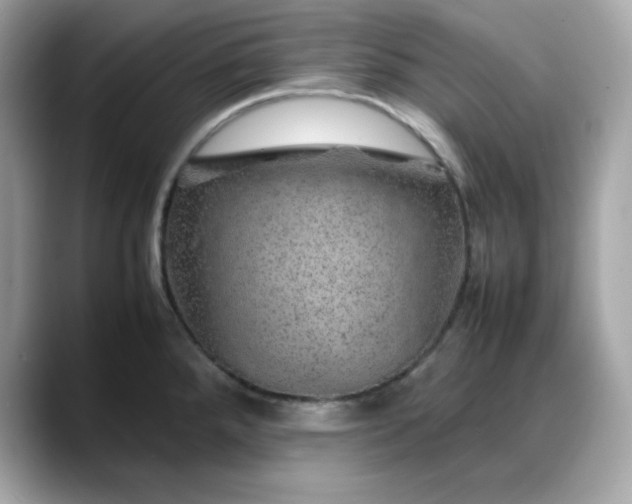 X0000088371288200706051035