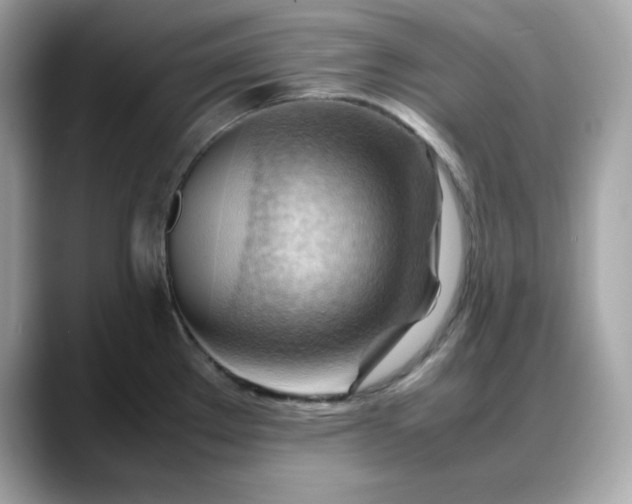 X0000088371289200706051035