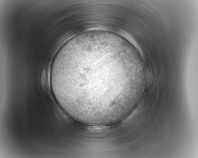 X0000088371290200706051035