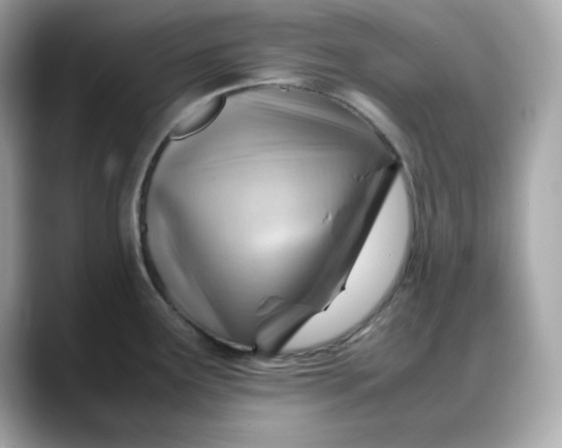 X0000088371291200706051035