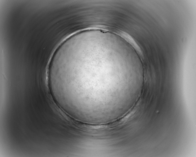 X0000088371292200706051035