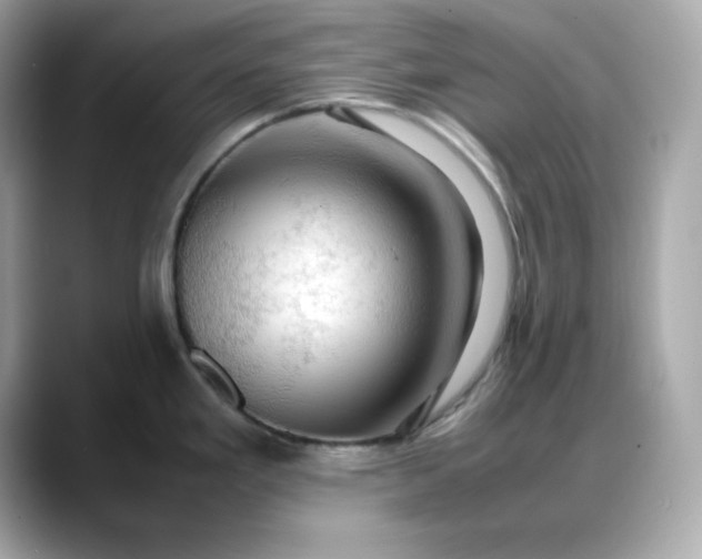 X0000088371293200706051034