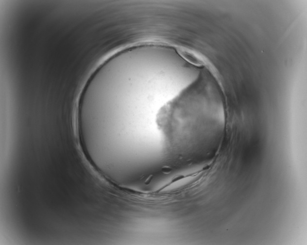 X0000088371295200706051034