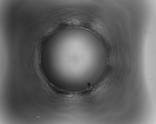 X0000088371297200706051034