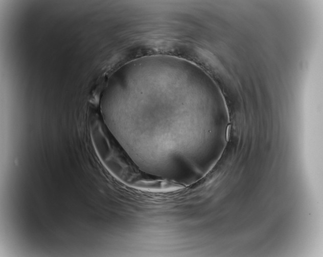 X0000088371298200706051034