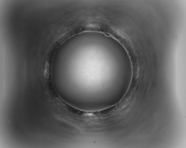 X0000088371301200706051034