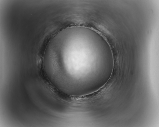 X0000088371302200706051034