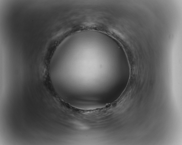 X0000088371303200706051034