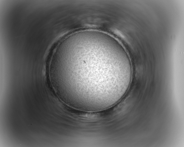 X0000088371307200706051034