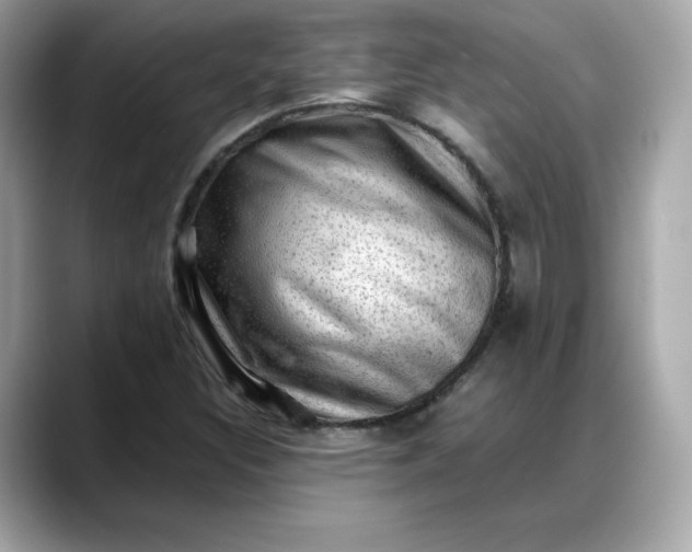 X0000088371308200706051034