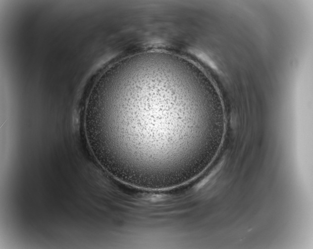 X0000088371309200706051034